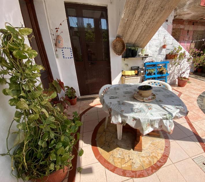Shaka Guest House Giba Dış mekan fotoğraf