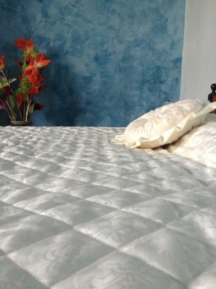 Shaka Guest House Giba Dış mekan fotoğraf